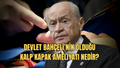 Devlet Bahçeli'nin Olduğu Kalp Kapak Ameliyatı Nedir, Nasıl Yapılır, Riskleri ve Avantajları Neler?