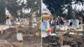 Mezarlıkta şoke eden kavga