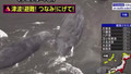 Tsunami dalgaları sırasında çok çarpıcı görüntü
