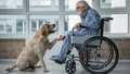 Köpeklerin Parkinson hastalığının kokusunu alabildiği keşfedildi