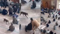 Cuma namazında korku dolu anlar! Pitbull cemaatin ortasına daldı