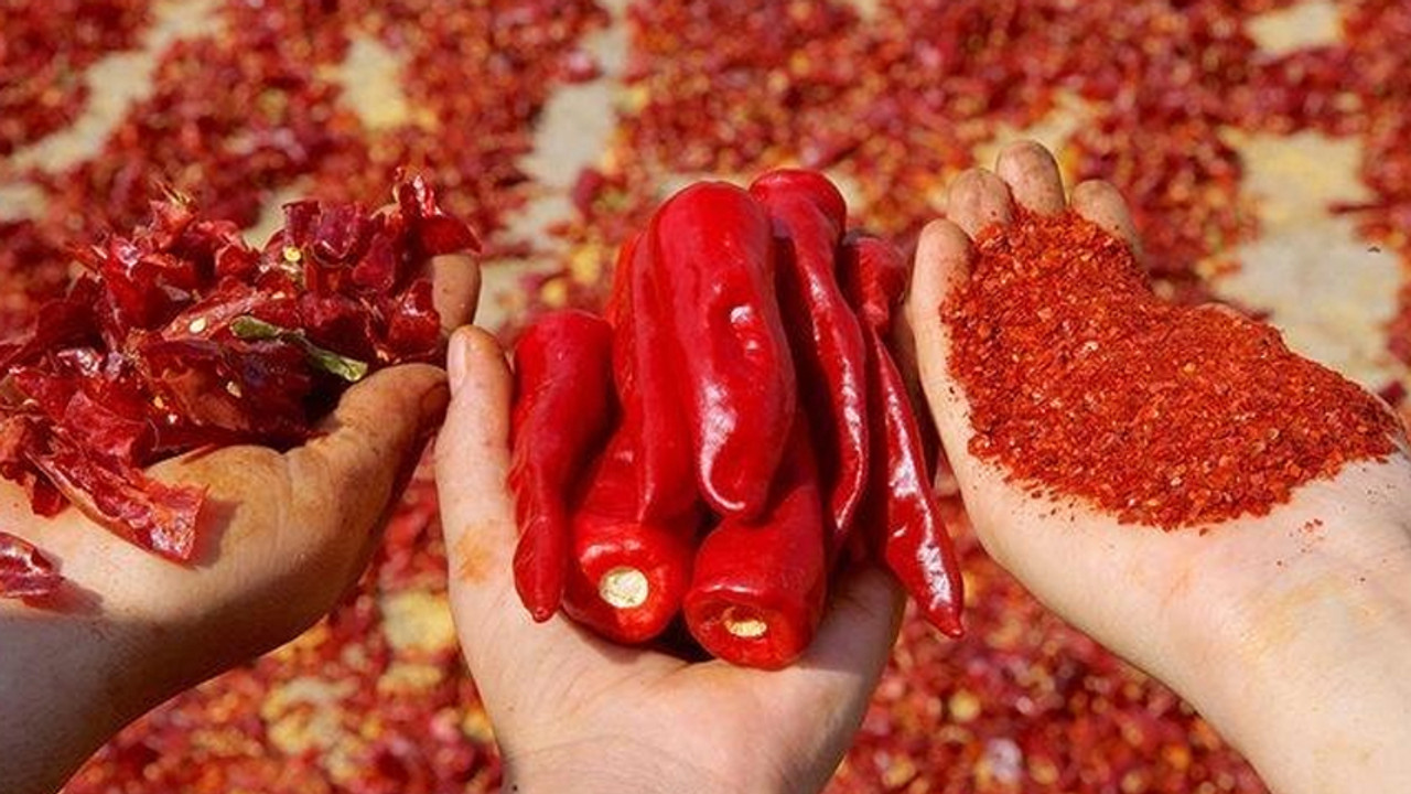 Ünlü baharatçının pul biberinde boya çıktı: Bakanlık kırmızı listeye aldı