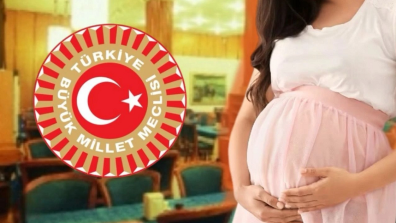 Meclis’teki istismar skandalında yeni iddia: 17 yaşındaki çocuk hamile!