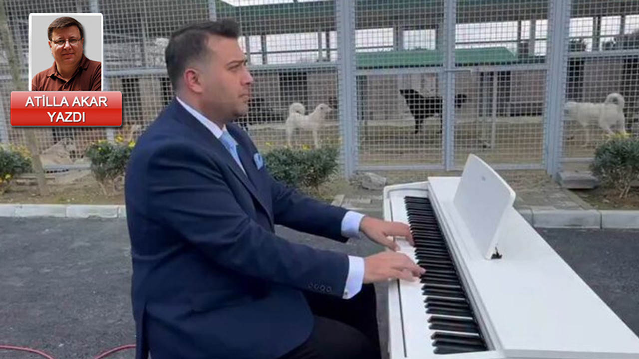 Bir klasik müziğimiz eksikti! Köpeklere Beethoven mi, Mozart mı dinletsek?