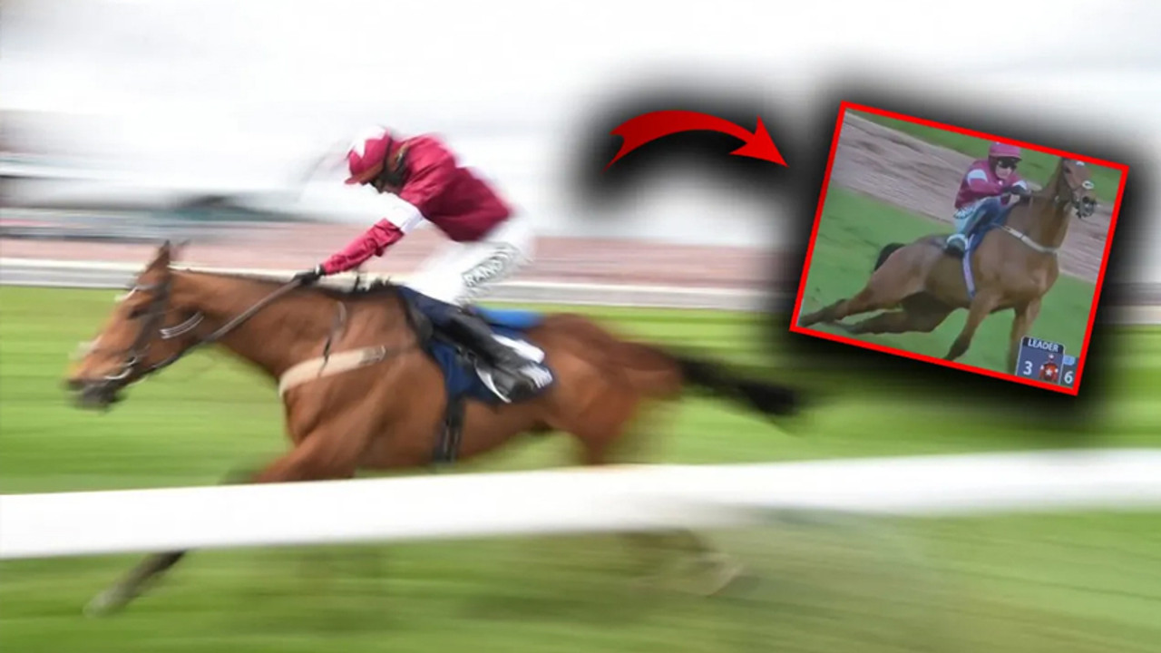 Zaferin bedeli ağır oldu: 'Gold Dancer' yarış sonrası hayatını kaybetti