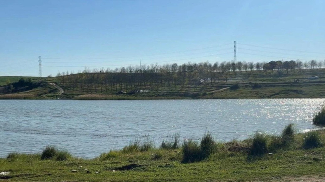 İstanbul'un yakınında endişelendiren gelişme! Binlercesi ölü olarak bulundu