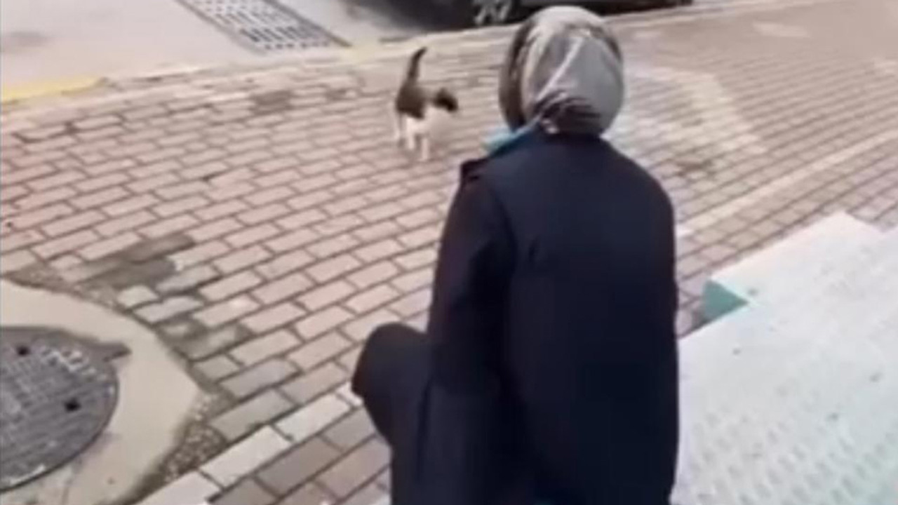 'Gel annem' diye çağırdığı kedinin yüzüne gülerek sprey sıktı