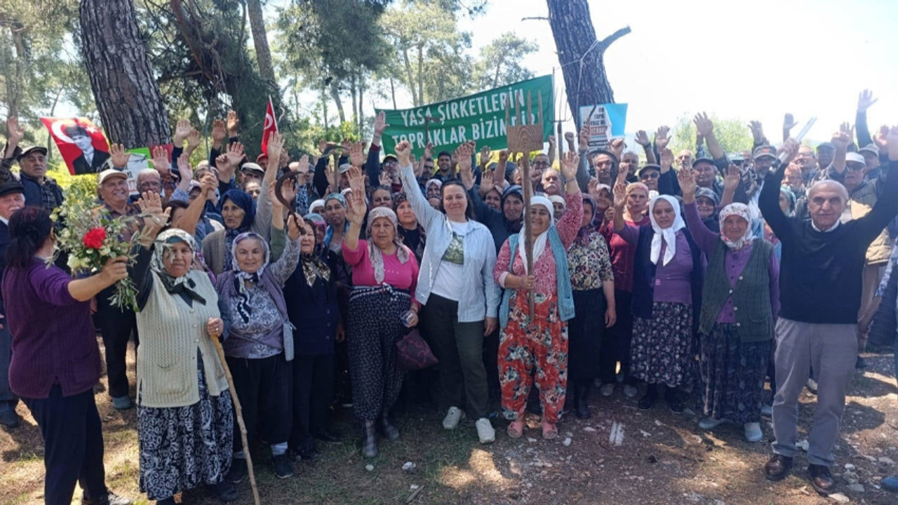 Danıştay, Akbelen için verilen kararı durdurdu: Vatandaşın direnişi sonuç verdi
