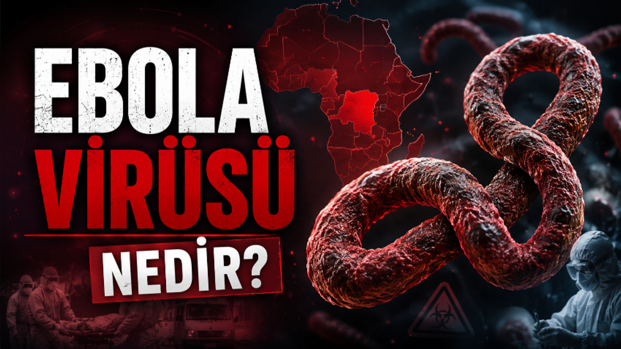Ebola Virüsü Nedir, Nasıl Bulaşır, Belirtileri Neler, Aşısı Var mı? 2026 Ebola Salgınının Detayları