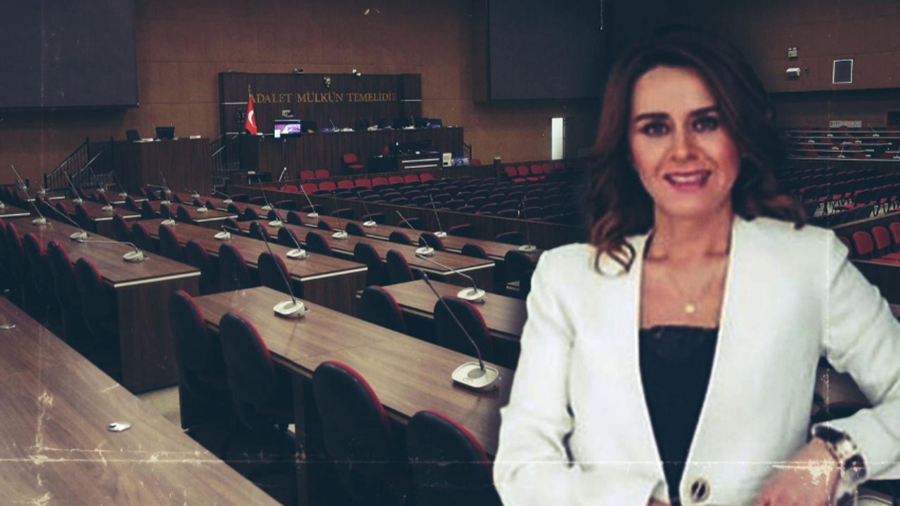 Seçil Erzan davasında yeni gelişme: Dosya istinaftan döndü, 