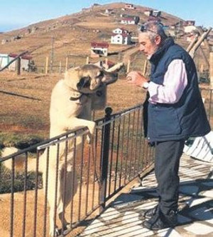 Berat Albayrak'ın babası Sadık Albayrak konuştu: İhtilaf, kırgınlık, öfke, alınganlık... - Resim : 2