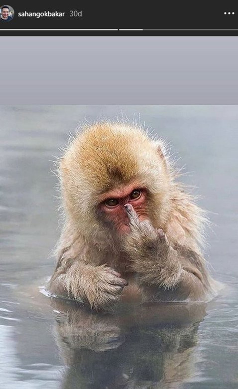 Şahan Gökbakar’dan orta parmaklı tepki! - Resim : 2