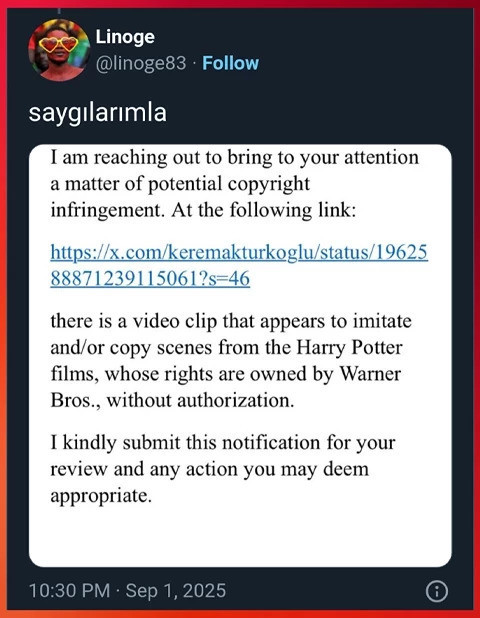 Warner Bross davasında sürpriz detay: Kerem’i kim ihbar etti - Resim : 1