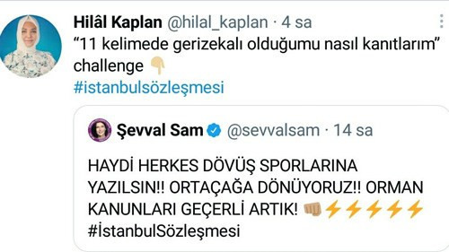 Hilal Kaplan'dan Şevval Sam'a şoke eden yanıt! "Geri zekalı olduğumu..." - Resim : 1