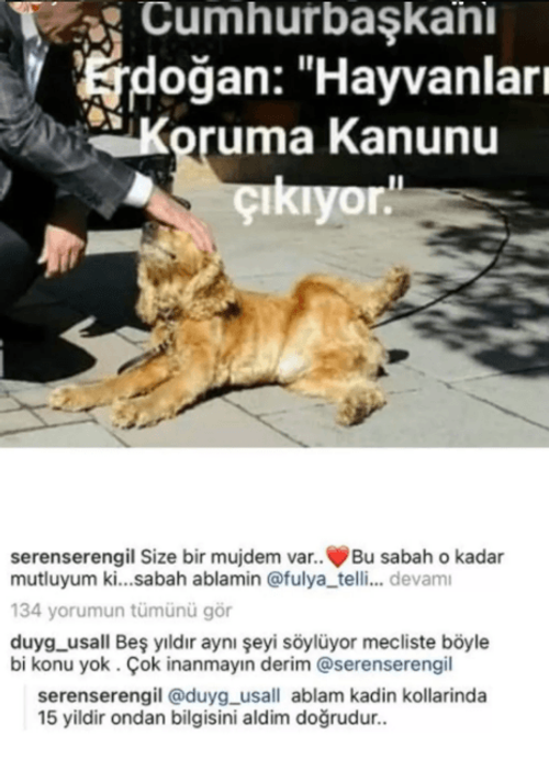 Seren Serengil Cumhurbaşkanı Erdoğan'ı paylaşıp duyurdu! 'Ablam kadın kollarında...' - Resim : 1