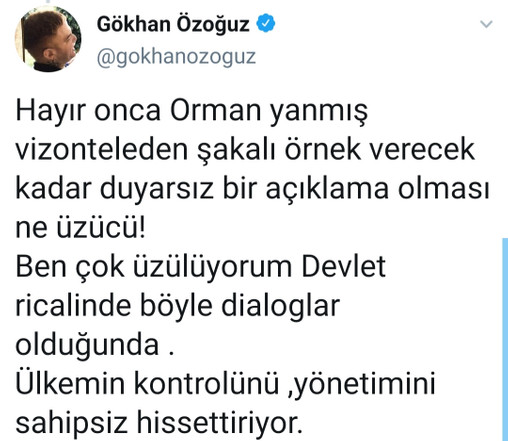 Athena Gökhan'dan Pakdemirli'ye Vizontele tepkisi! - Resim : 2