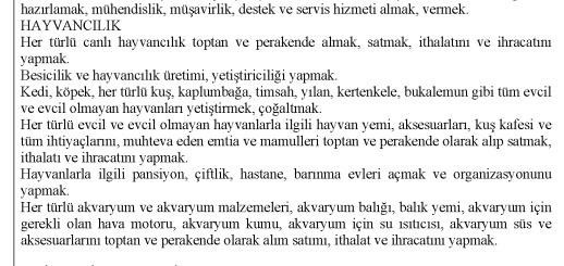 ROK’la birlikte tutuklandı! Petshop görünümlü bilişim şirketi! - Resim : 2
