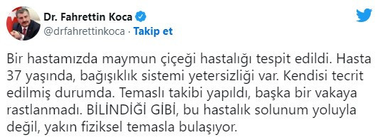 Türkiye’de maymun çiçeği vakası: Bir kişide tespit edildi - Resim : 1