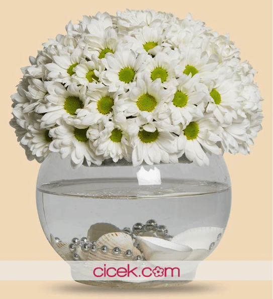 Çiçek Sepeti İndirimli Çiçekleri Kaçırmayın! - Resim : 4