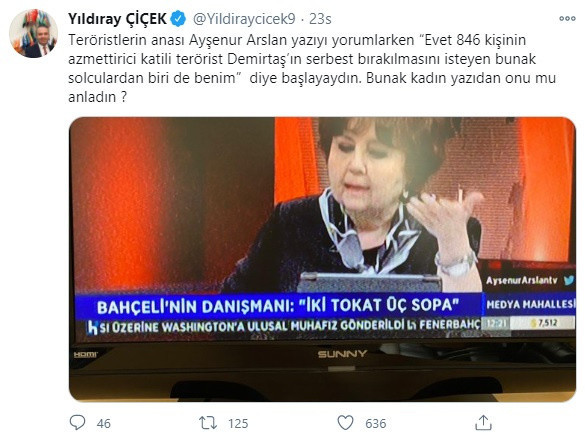 Bahçeli'nin danışmanı Ayşenur Arslan'ı hedef aldı! "Bunak kadın, teröristlerin anası..." - Resim : 1