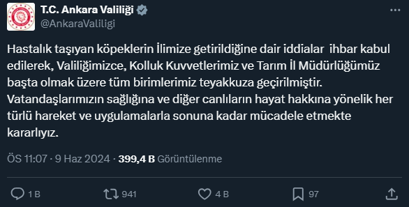 Ankara'nın uykularını kaçıran skandal! Kuduz köpekleri şehre salıp kaçtılar - Resim : 2