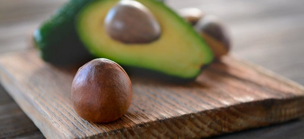 Avokado çekirdeği yağı faydaları