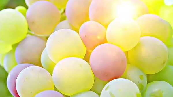 Yılbaşı gecesi masanın altında 12 üzüm yemek ne anlama geliyor? İspanyollara ait 100 yıllık gelenek!