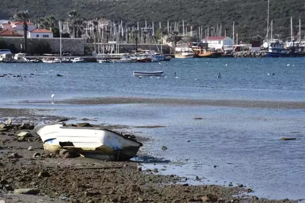Ege'de deniz çekilmesi deprem habercisi mi?