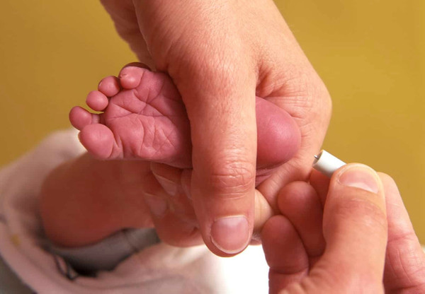 Sağlık Bakanlığı Topuk Kanı Sorgulama Nasıl Yapılır?