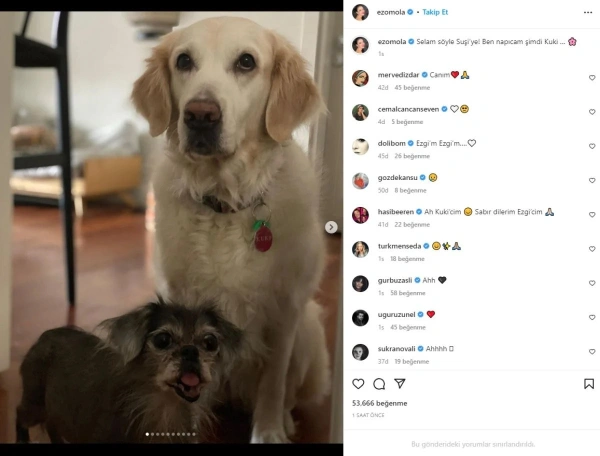 Ünlü oyuncu Ezgi Mola'nın büyük acısı: 'Ben ne yapacağım şimdi?' - Resim : 3