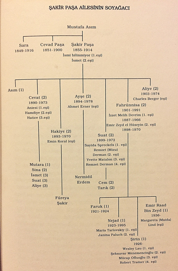 Şakir Paşa Ailesi Soy Ağacı: Kabaağaçlı ailesinin kökenleri, Şakir Paşa'nın çocukları ve torunları