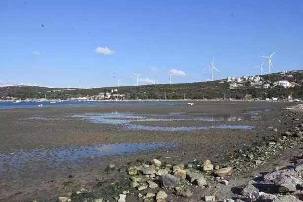 Ege'de deniz çekilmesi deprem habercisi mi?