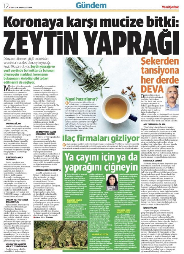 Yeni Şafak'tan bilimi hiçe sayan manşet: 'Koronaya karşı zeytin yaprağı' - Resim : 2