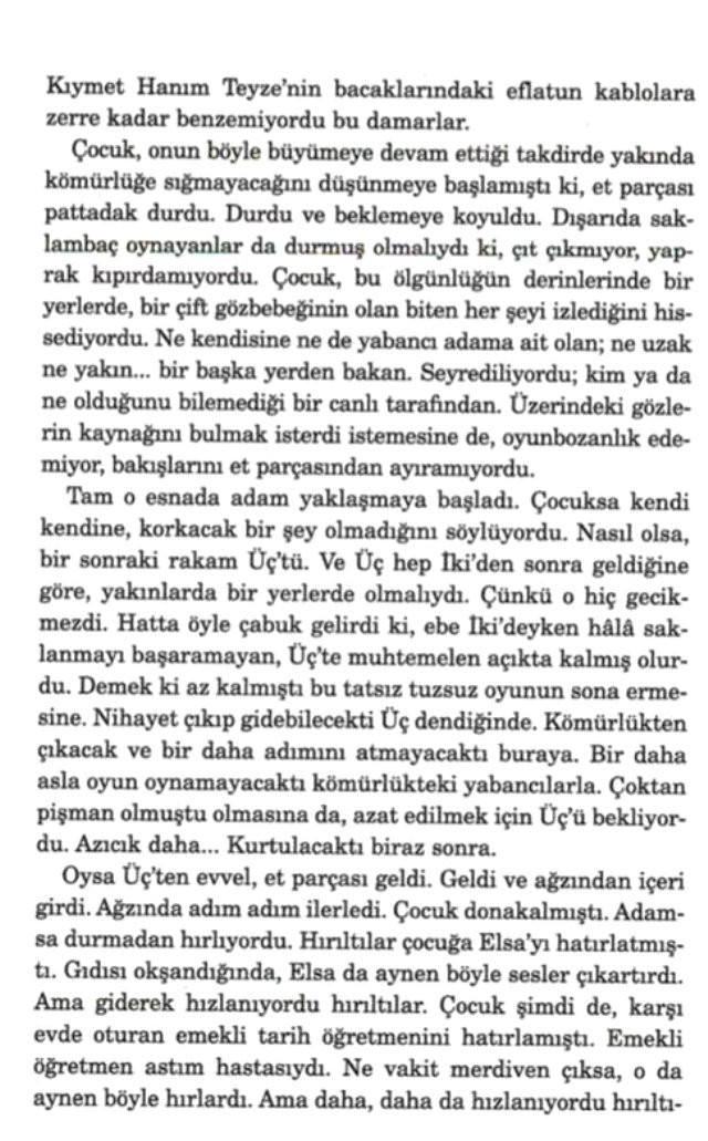 Pedofilinin dik âlâsı Elif Şafak'ın 'Mahrem'inde çıktı! - Resim : 2
