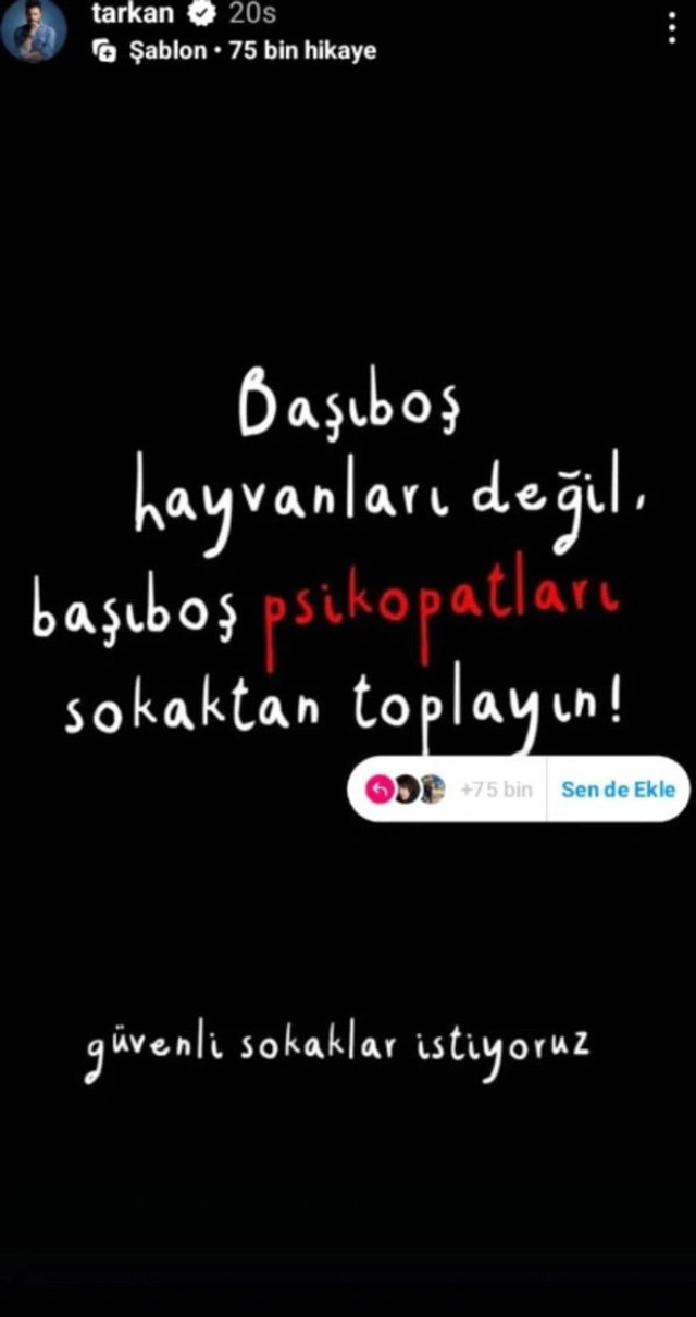 Tarkan: Başıboş psikopatları sokaktan toplayın - Resim : 1