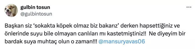 Mansur Yavaş'la ilgili paylaşımı nedeniyle Gülbin Tosun zorunlu izne çıkarıldı - Resim : 1