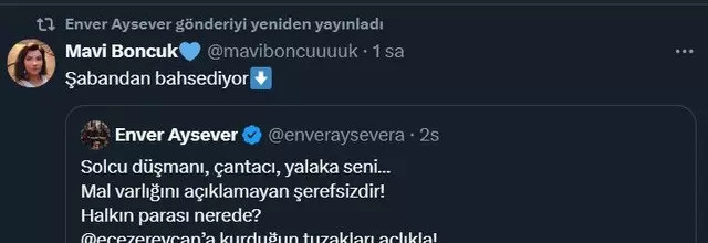 Enver Aysever Şaban Sevinç'i mi hedef aldı? 'Solcu düşmanı, çantacı, yalaka' - Resim : 2