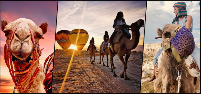 Develer toplandı, binden fazla kaçak bina yıkıldı! Kapadokya'da düğmeye basıldı! - Resim : 1