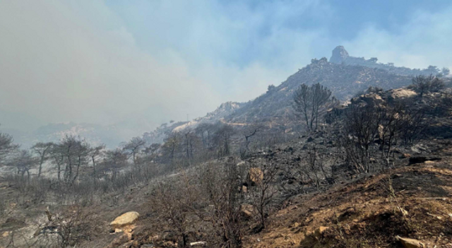 2 bin 196 hektar orman kül olmuştu: İzmir Yamanlar yangını davasında yeni gelişme! - Resim : 1