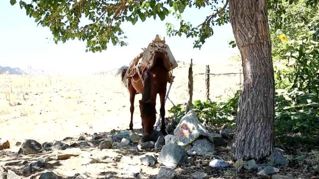 "Eşek Terzisi" belgeseliyle 11 ödül birden aldı - Resim : 5