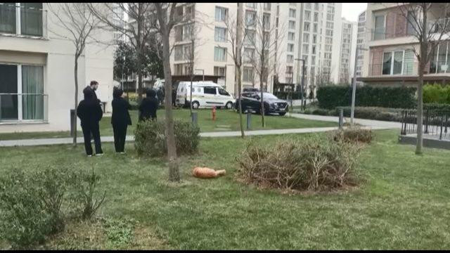 Sancaktepe'de kan donduran olay! 3 çocuğunu asıp intihar etti iddiası… - Resim : 1