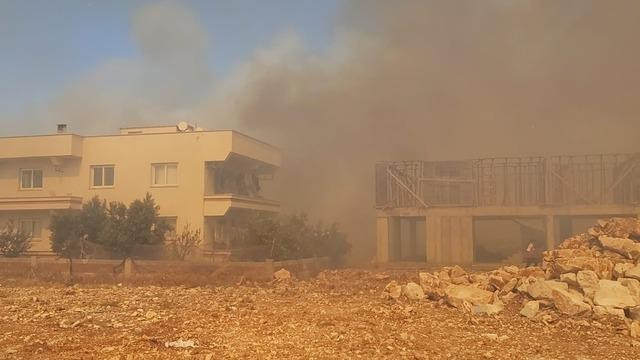 Aydın'daki orman yangını şehir merkezine sıçradı! 'Evlerinizi boşaltın' çağrısı - Resim : 1