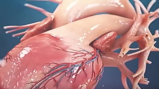 Kalp hastalarına müjde! Dünyada ilk Türkler yaptı - Resim : 1