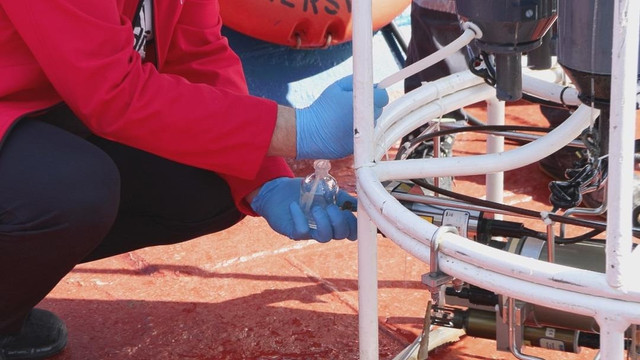 Marmara Denizi alarm veriyor! Kritik uyarı geldi... "Sinyal aldık" - Resim : 3