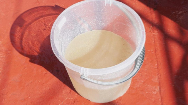 Marmara Denizi alarm veriyor! Kritik uyarı geldi... "Sinyal aldık" - Resim : 2