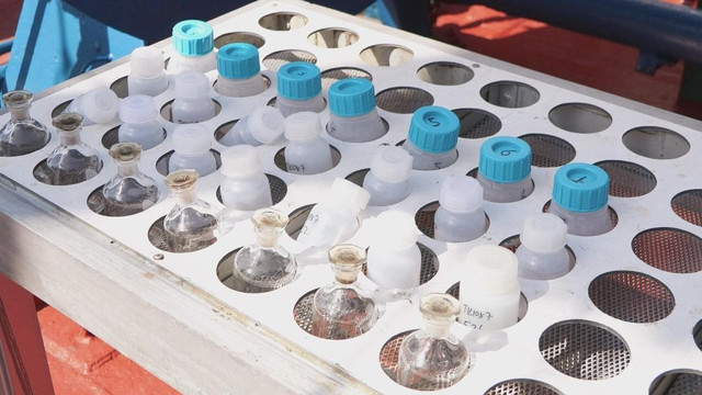 Marmara Denizi alarm veriyor! Kritik uyarı geldi... "Sinyal aldık" - Resim : 4