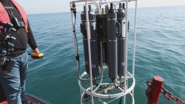 Marmara Denizi alarm veriyor! Kritik uyarı geldi... "Sinyal aldık" - Resim : 1