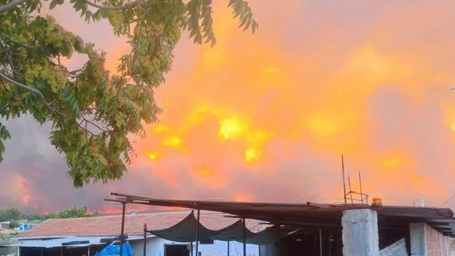 Köyler boşaltıldı... Tekirdağ ve Çanakkale'de korkutan orman yangını! - Resim : 1