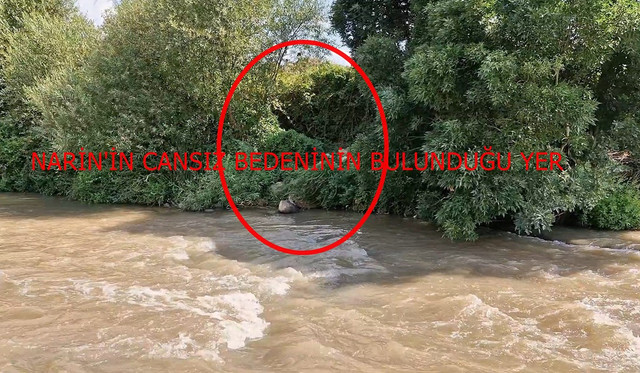 Narin Güran cinayetinde itirafçı Nevzat Bahtiyar tutuklandı - Resim : 4