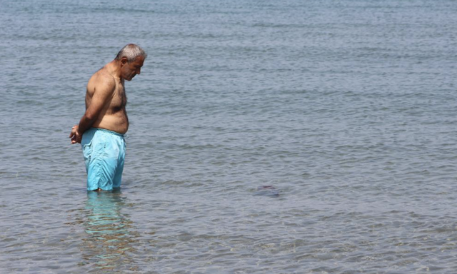 Marmara Denizi'ni istila ettiler! Pusula denizanası için önemli uyarı... - Resim : 1